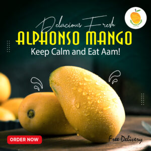 Alphonso